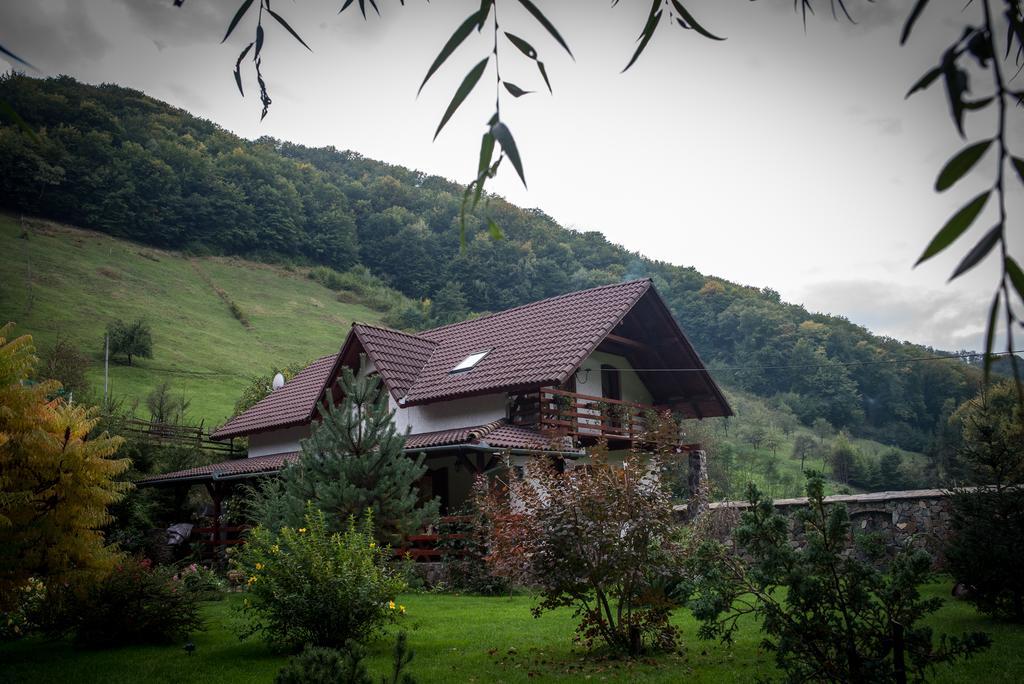 Casa De Piatra Vila Strungari Exterior foto