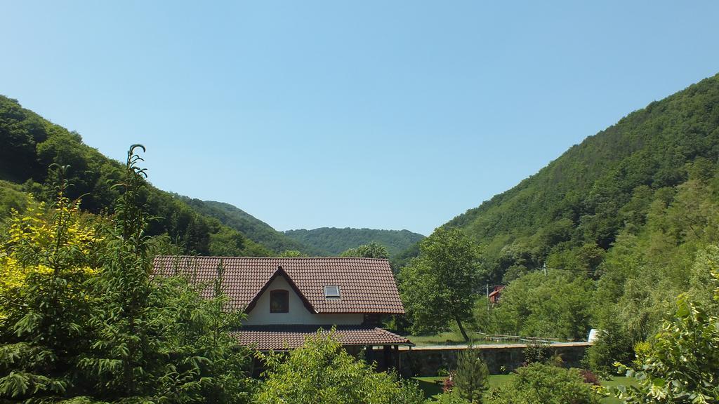 Casa De Piatra Vila Strungari Exterior foto